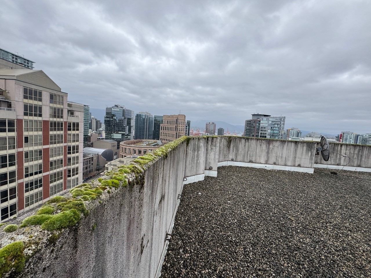 Rosedale Garden Project