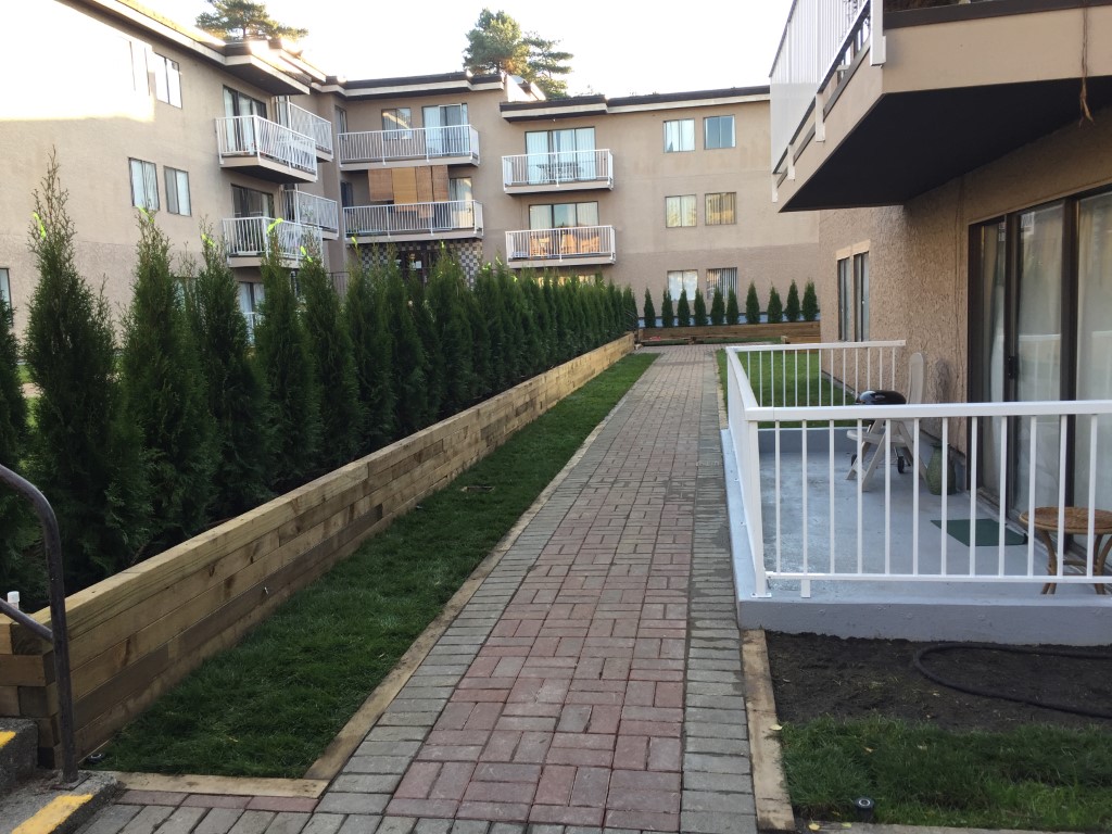 Renaissance On Shaw Project