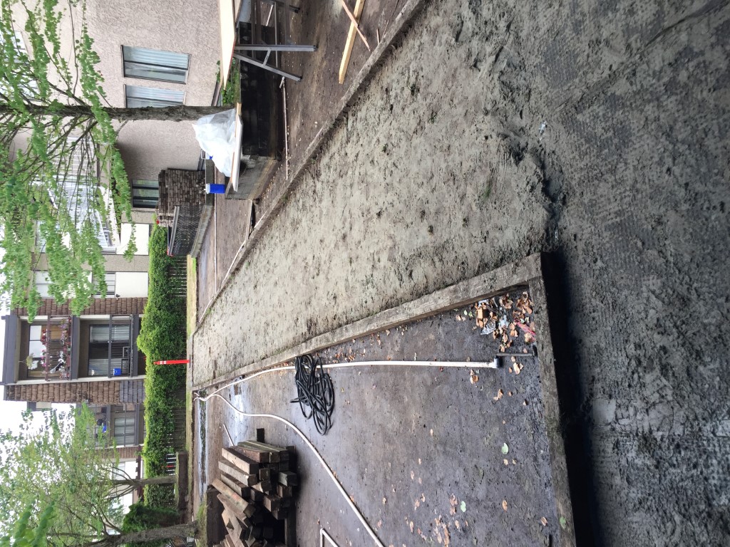 Renaissance On Shaw Project