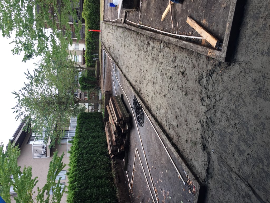Renaissance On Shaw Project