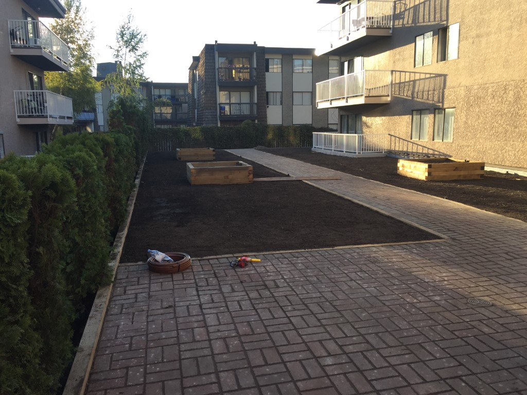 Renaissance On Shaw Project